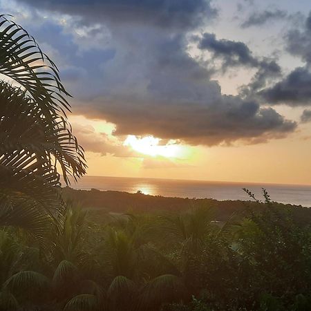 Oasis de Grande Anse Deshaies Exterior foto