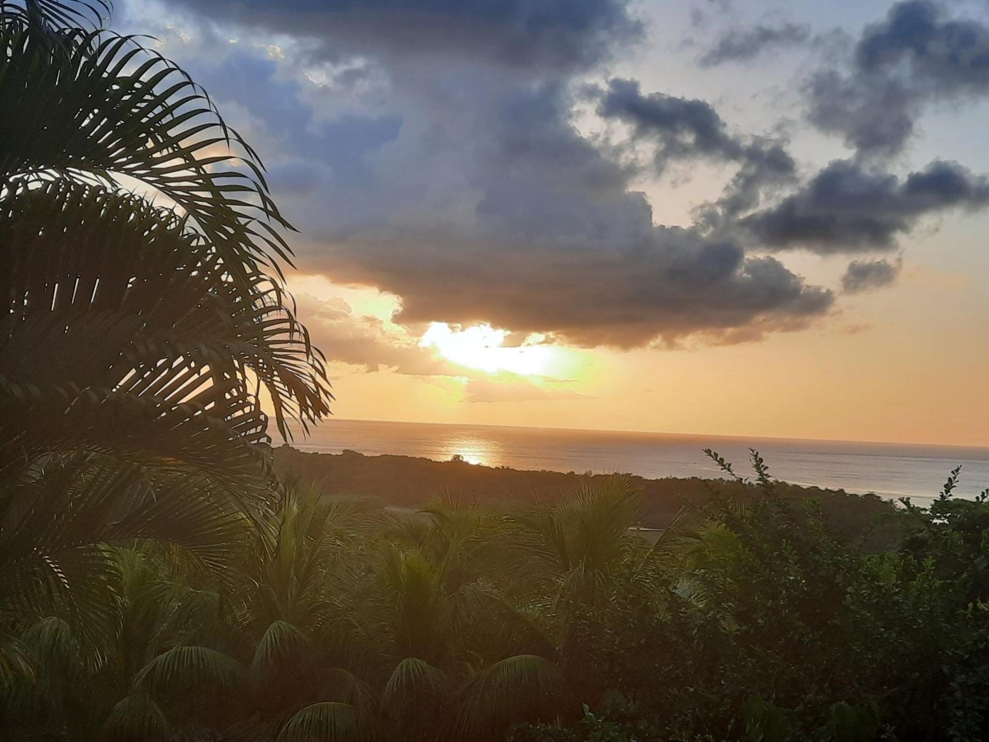 Oasis de Grande Anse Deshaies Exterior foto
