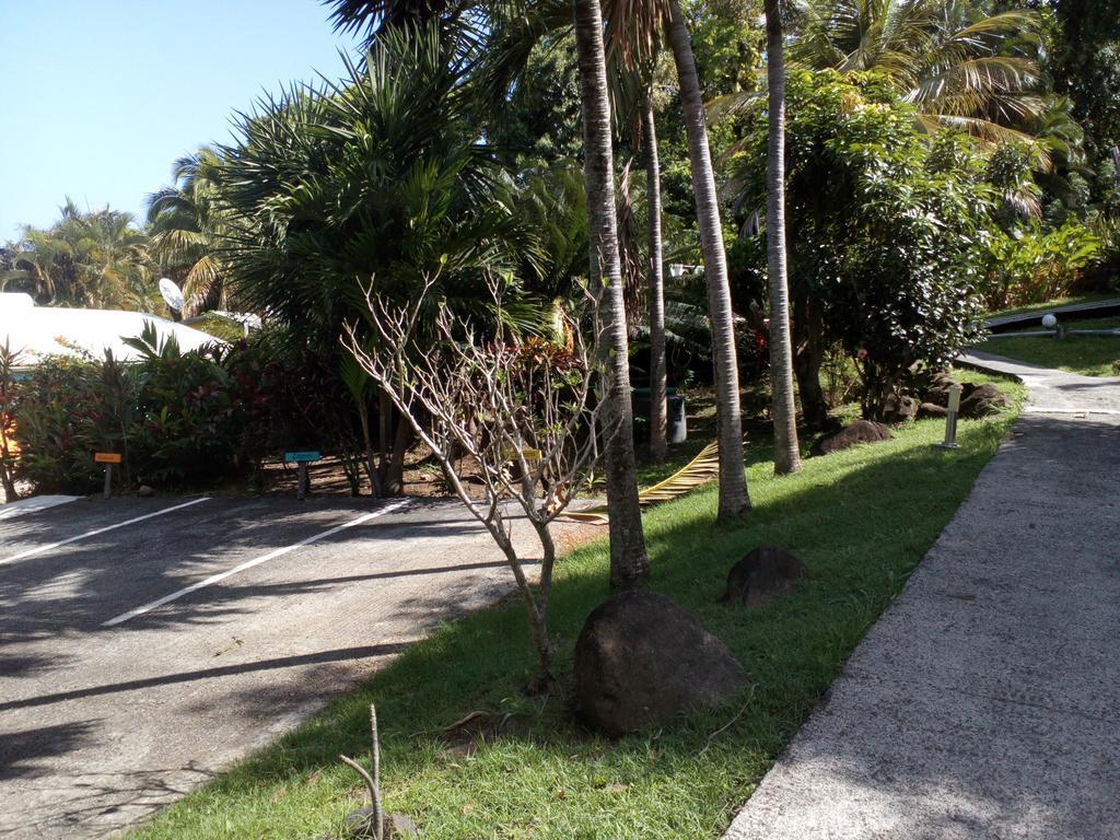 Oasis de Grande Anse Deshaies Exterior foto