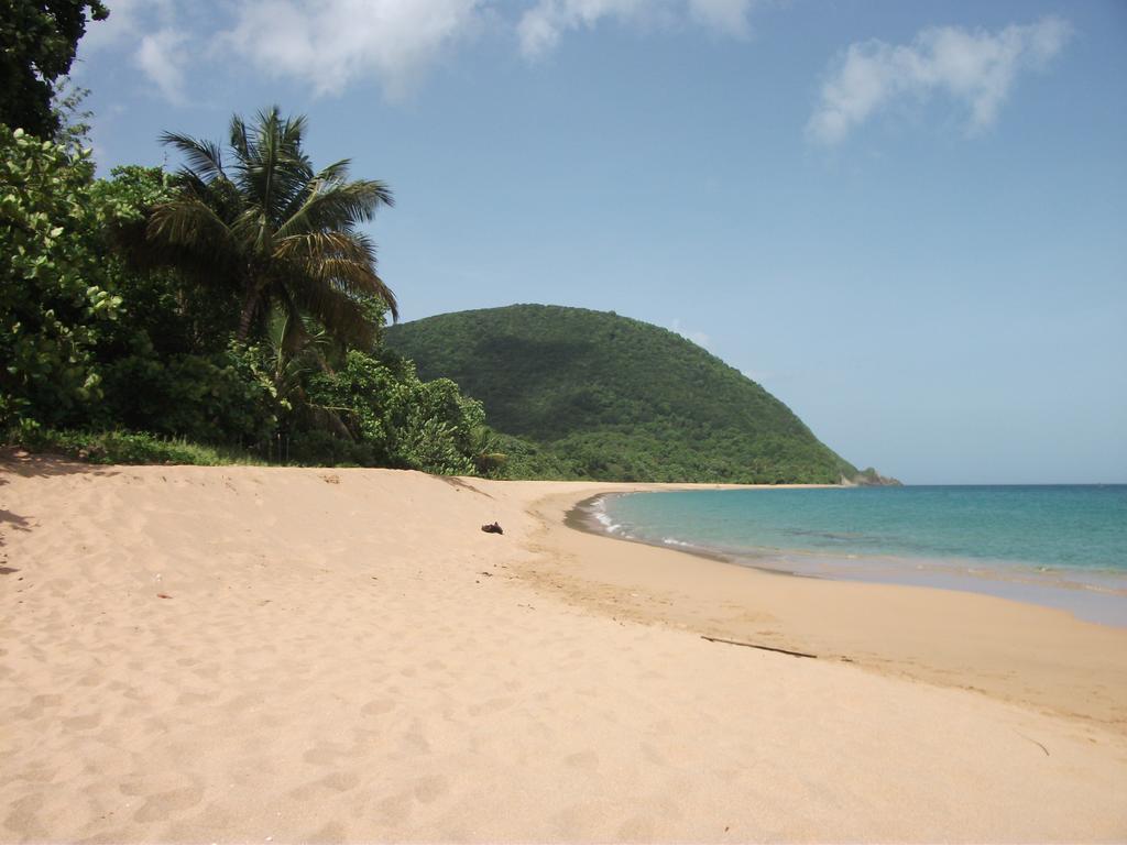 Oasis de Grande Anse Deshaies Quarto foto